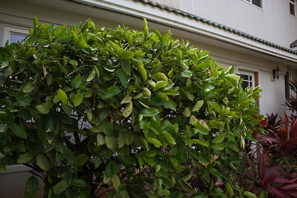 th IMG 0452 th IMG 0452