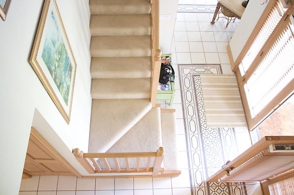 th IMG 0442 th IMG 0442