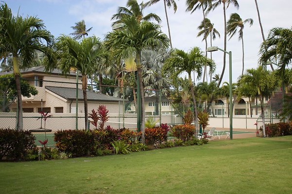 th IMG 0443 th IMG 0443