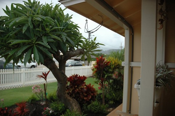 HI50 S5 4435PUUPaniniAve ARauh DSC 2754 HI50 S5 4435PUUPaniniAve ARauh DSC 2754