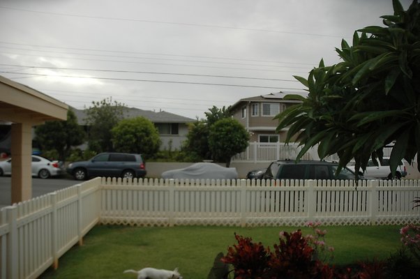 HI50 S5 4435PUUPaniniAve ARauh DSC 2753 HI50 S5 4435PUUPaniniAve ARauh DSC 2753