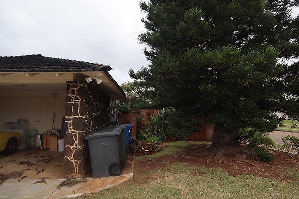 th IMG 6476 th IMG 6476