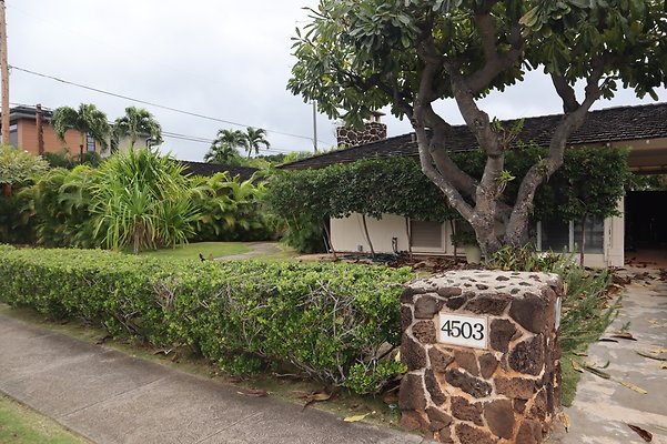 th IMG 6474 th IMG 6474