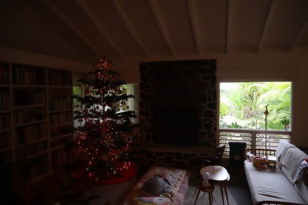 th IMG 6457 th IMG 6457