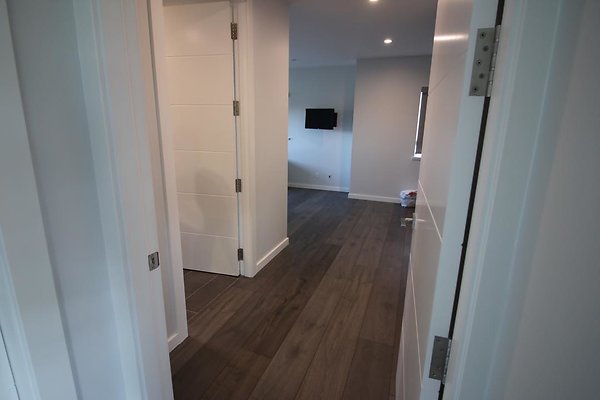 th IMG 1103 th IMG 1103