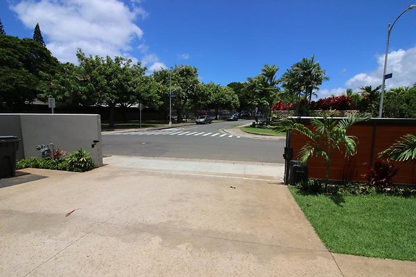 th IMG 2066 th IMG 2066