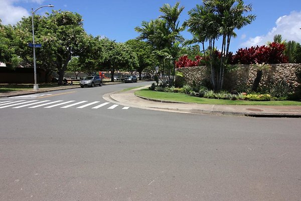 th IMG 1060 th IMG 1060