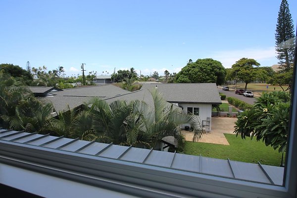 th IMG 1108 th IMG 1108