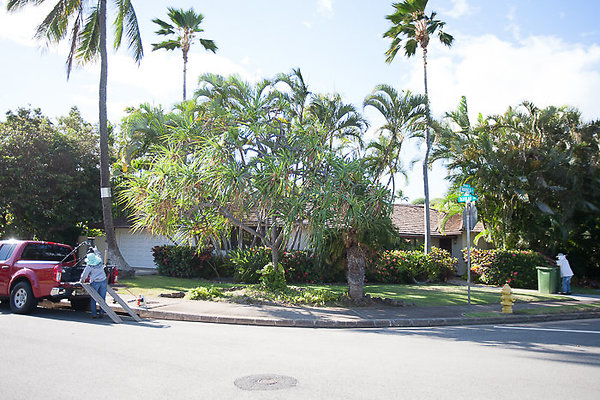 Kahala 508 AhakeaSt Rosenberg-25 Kahala 508 AhakeaSt Rosenberg-25