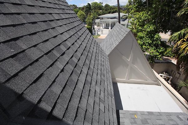 th IMG 2256 th IMG 2256