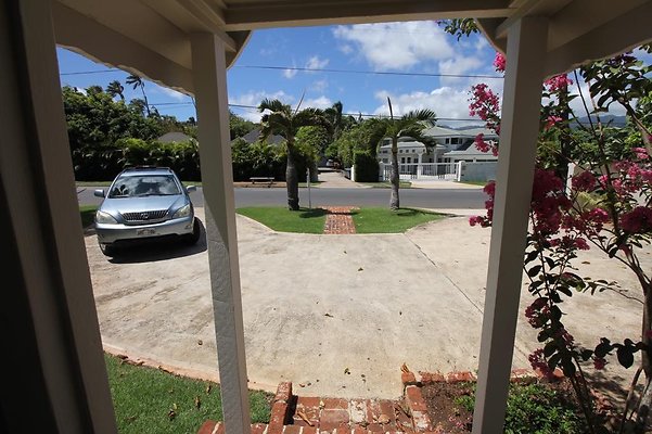 th IMG 2232 th IMG 2232