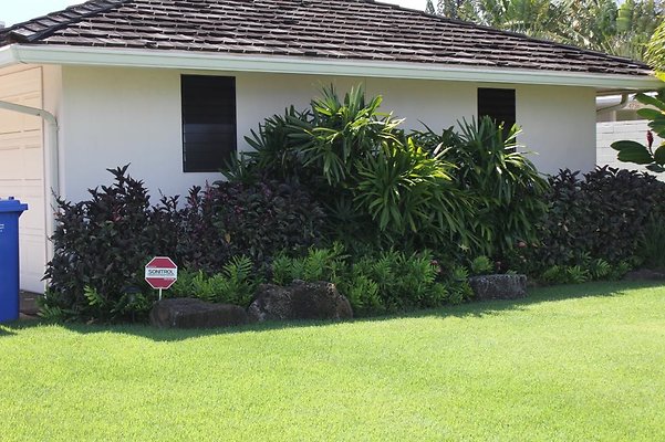 th IMG 0861 th IMG 0861