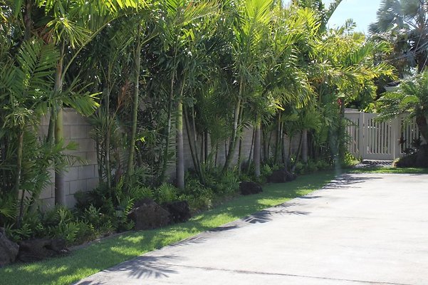 th IMG 0859 th IMG 0859