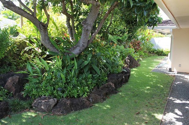 th IMG 0876 th IMG 0876