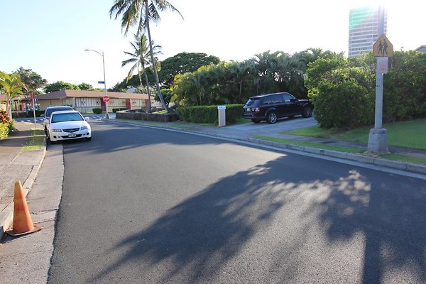 th IMG 1375 th IMG 1375