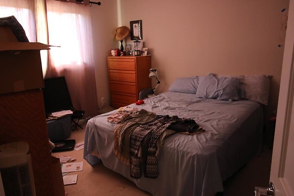 th IMG 1391 th IMG 1391