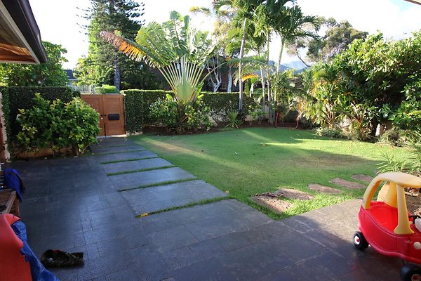 th IMG 1380 th IMG 1380