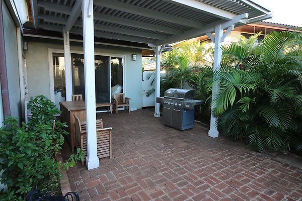 th IMG 1414 th IMG 1414