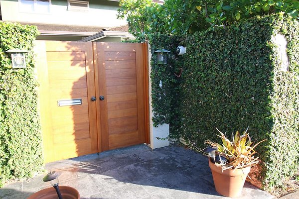 th IMG 1378 th IMG 1378