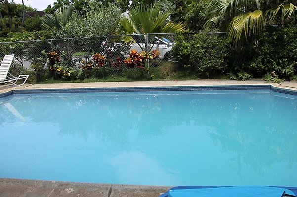 hi50 IMG 0145 hi50 IMG 0145