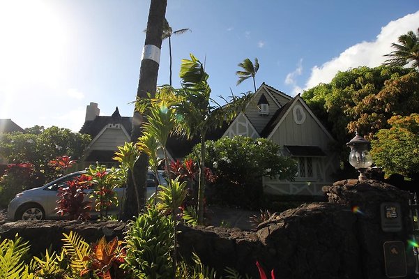 th IMG 2593 th IMG 2593