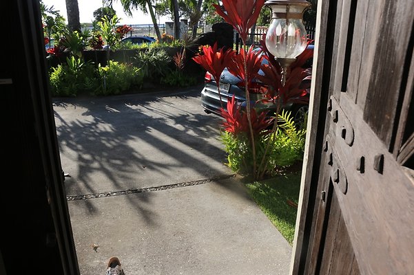 th IMG 2008 th IMG 2008