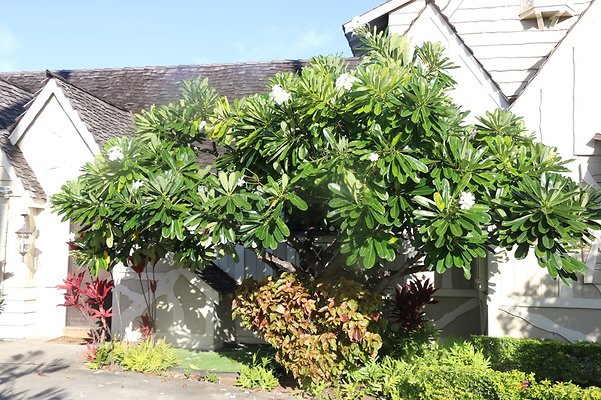 th IMG 1998 th IMG 1998