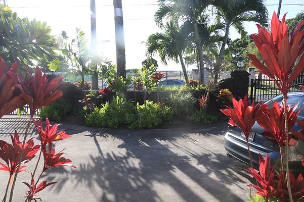 th IMG 2009 th IMG 2009