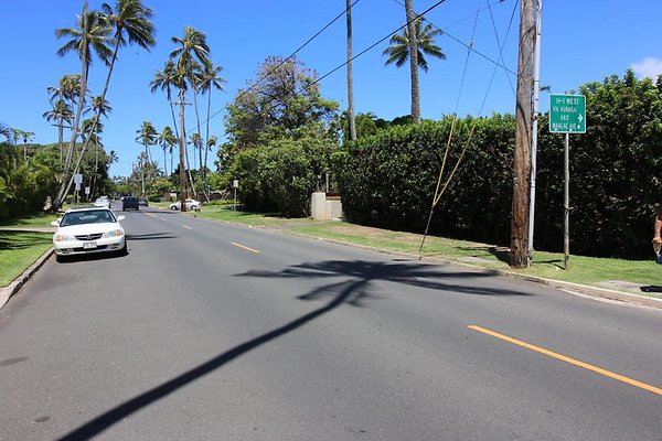 th IMG 0097 th IMG 0097