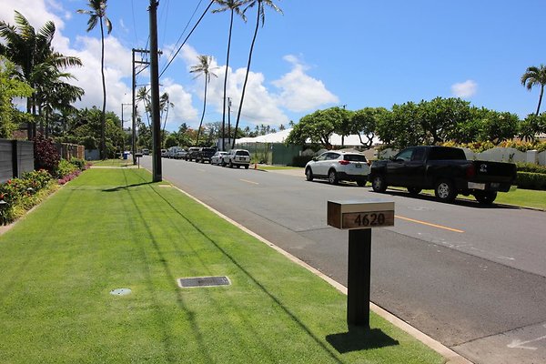 th IMG 0100 th IMG 0100