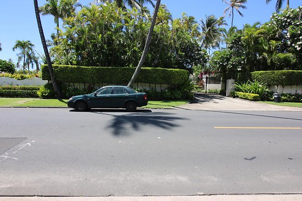 th IMG 0101 th IMG 0101