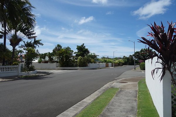 th DSC05576 th DSC05576