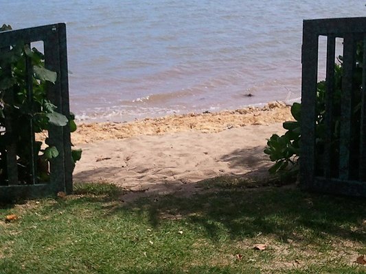 Amy East Oahu (43) Amy East Oahu (43)