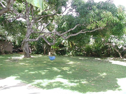 Amy East Oahu (40) Amy East Oahu (40)