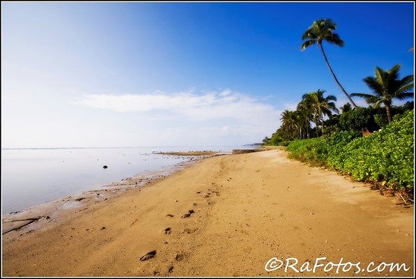 Amy East Oahu (17) Amy East Oahu (17)