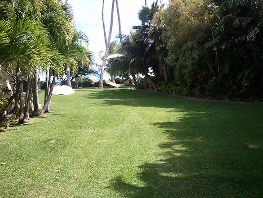 Amy East Oahu (45) Amy East Oahu (45)