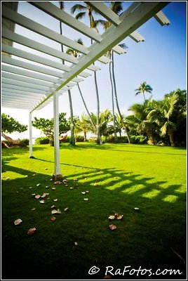 Amy East Oahu (14) Amy East Oahu (14)