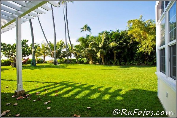 Amy East Oahu (15) Amy East Oahu (15)