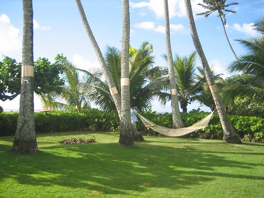 Amy East Oahu (29) Amy East Oahu (29)