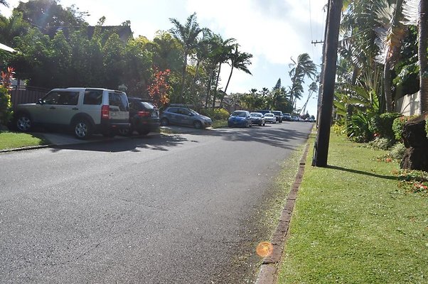 th DSC 0549 th DSC 0549