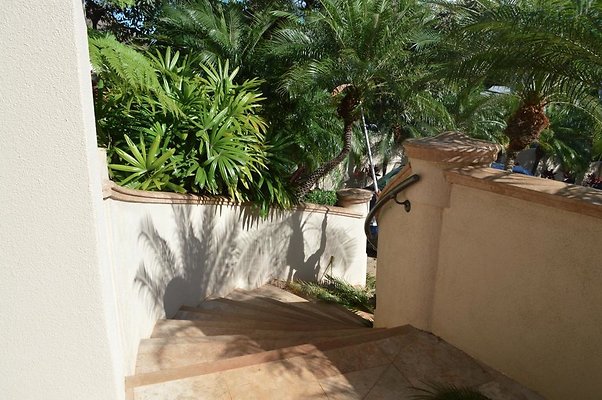 th DSC 0555 th DSC 0555