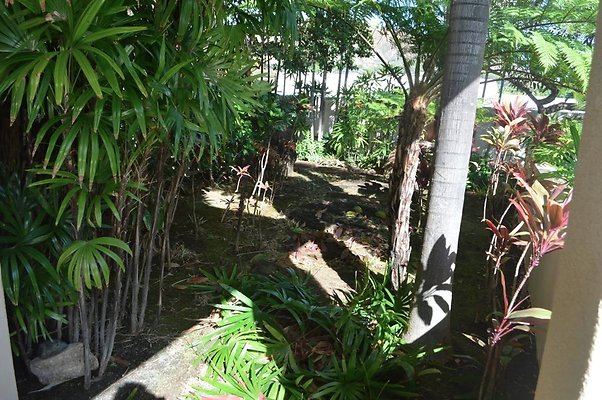 th DSC 0557 th DSC 0557