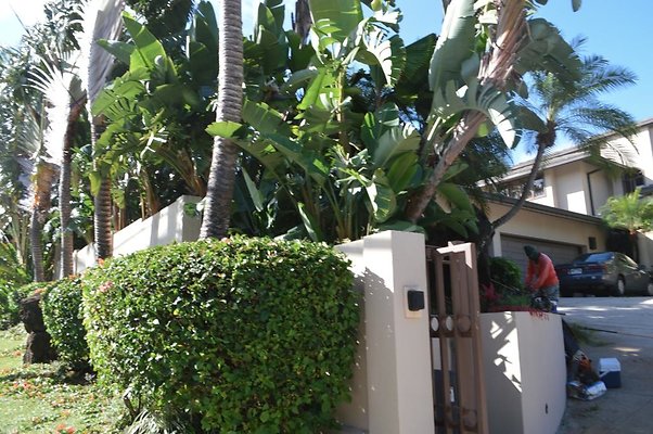 th DSC 0550 th DSC 0550