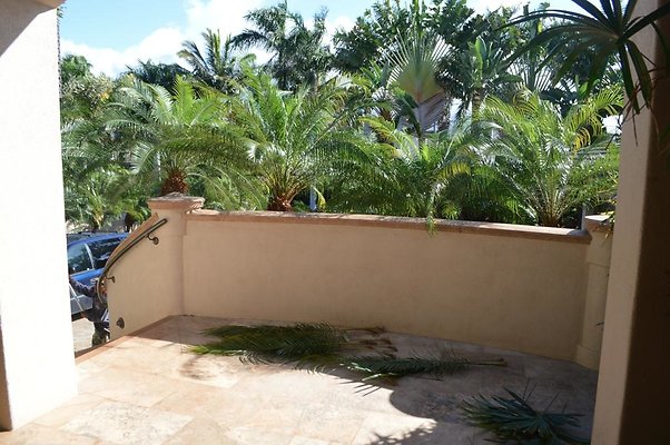 th DSC 0558 th DSC 0558