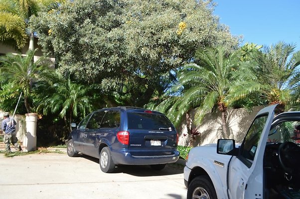 th DSC 0546 th DSC 0546