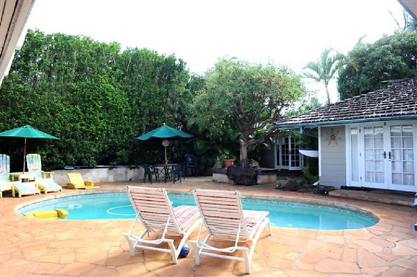 Elepaio Hale Elepaio Hale