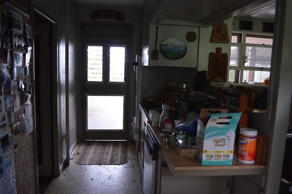 th DSC 0371 2 th DSC 0371 2