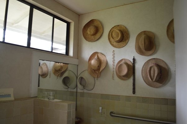 th DSC 0382 2 th DSC 0382 2