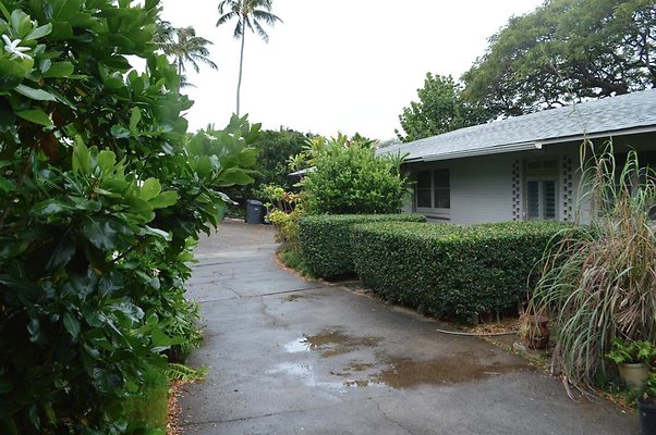 th DSC 0342 2 th DSC 0342 2