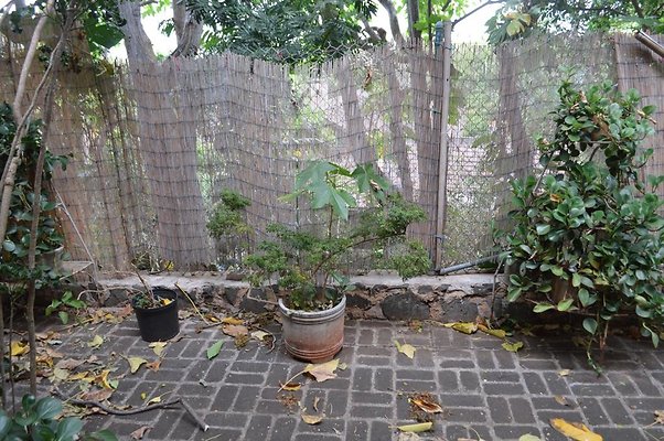 th DSC 0355 2 th DSC 0355 2